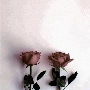 Meet your Posher, Natty